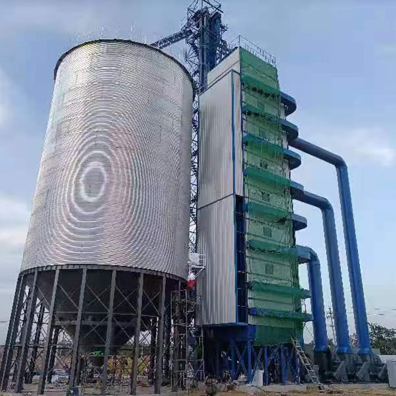 ����䓰�}(c��ng)