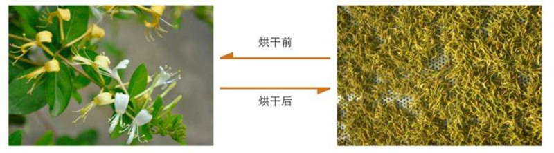 ���y����əC